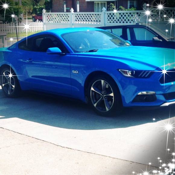 Meet your Posher, Shannon - Picture 1 of 1